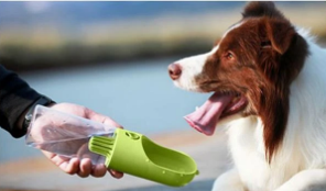 3 Best Gifts for Dog Lovers to Buy from SPLASHBUY