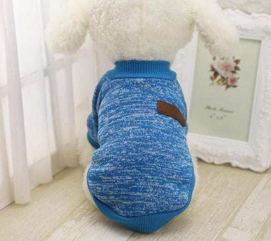 6 Best Things to Gift for Dog Lovers